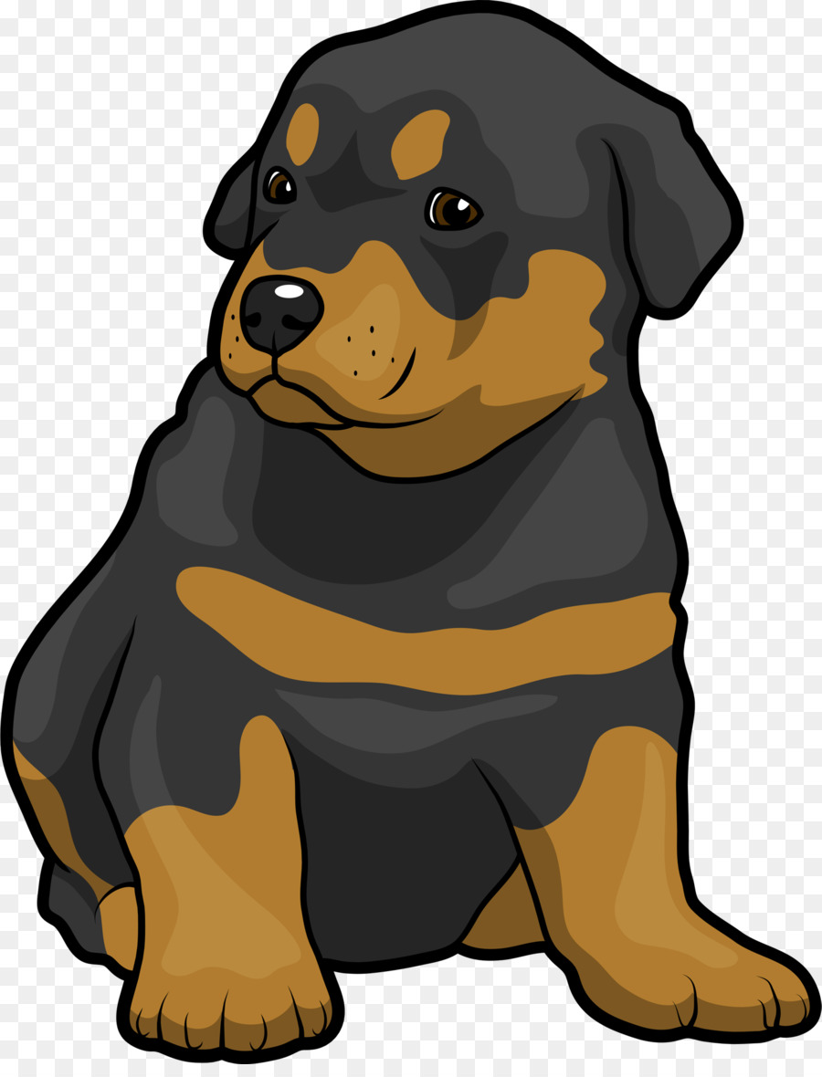 How to Train Your Rottweiler Puppy Dog breed Clip art - rottweiler png download - 1544*2000 - Free Transparent Rottweiler png Download.