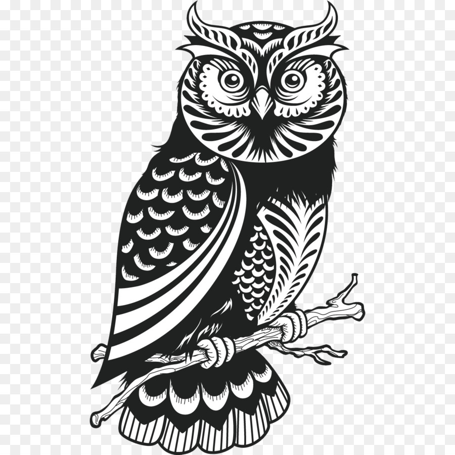Owl Drawing Royalty-free - owls png download - 1200*1200 - Free Transparent Owl png Download.