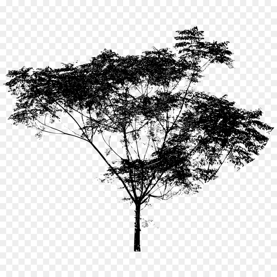Royalty-free Tree Drawing - Silhouette png download - 1600*1600 - Free Transparent Royaltyfree png Download.