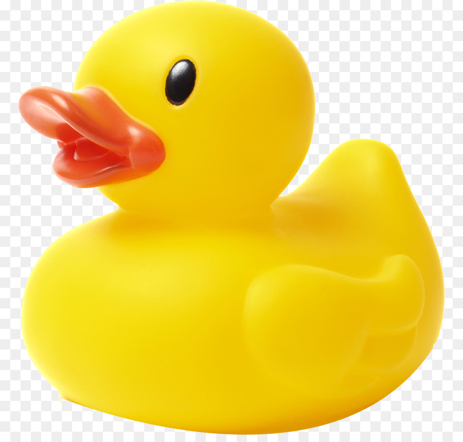 Rubber duck Stock photography Natural rubber stock.xchng - Ducks Model png download - 830*846 - Free Transparent Duck png Download.