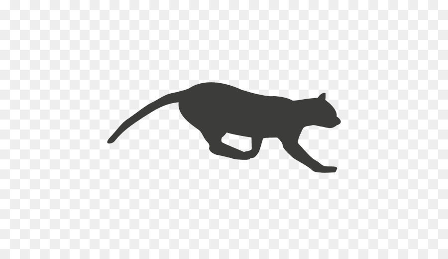 Cat Mammal Whiskers Carnivora Dog - sequntial vector png download - 512*512 - Free Transparent Cat png Download.
