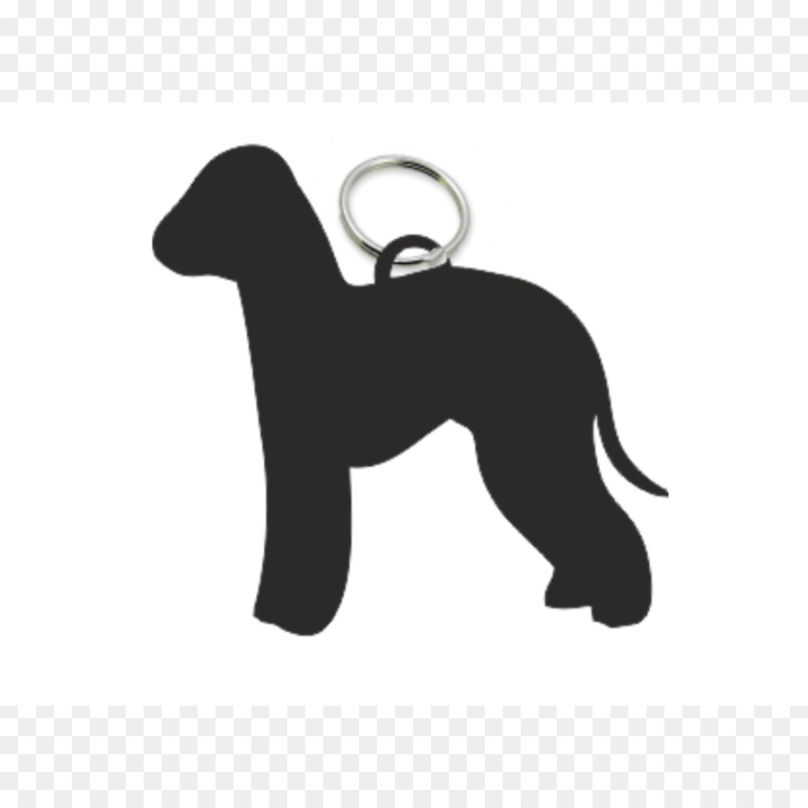 Italian Greyhound Dog breed Puppy Bedlington Terrier Airedale Terrier - puppy png download - 1000*1000 - Free Transparent Italian Greyhound png Download.