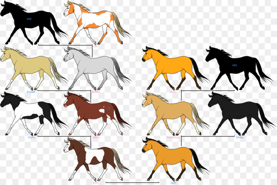 Mustang Horses Family tree Spirit - horse png download - 1300*864 - Free Transparent Horse png Download.