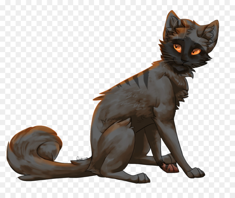 Sad Cat Transparent