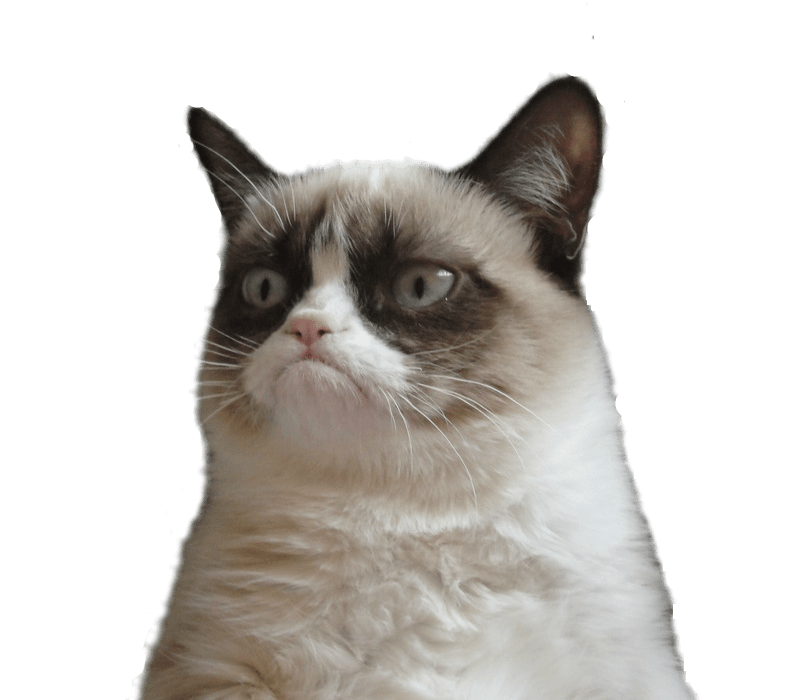 Grumpy Cat Snowshoe cat Clip art - cats png download - 800*700 - Free ...