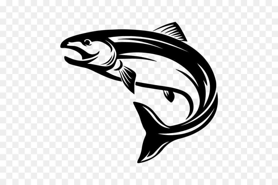 Salmon Clip art - fish png download - 600*600 - Free Transparent Salmon png Download.