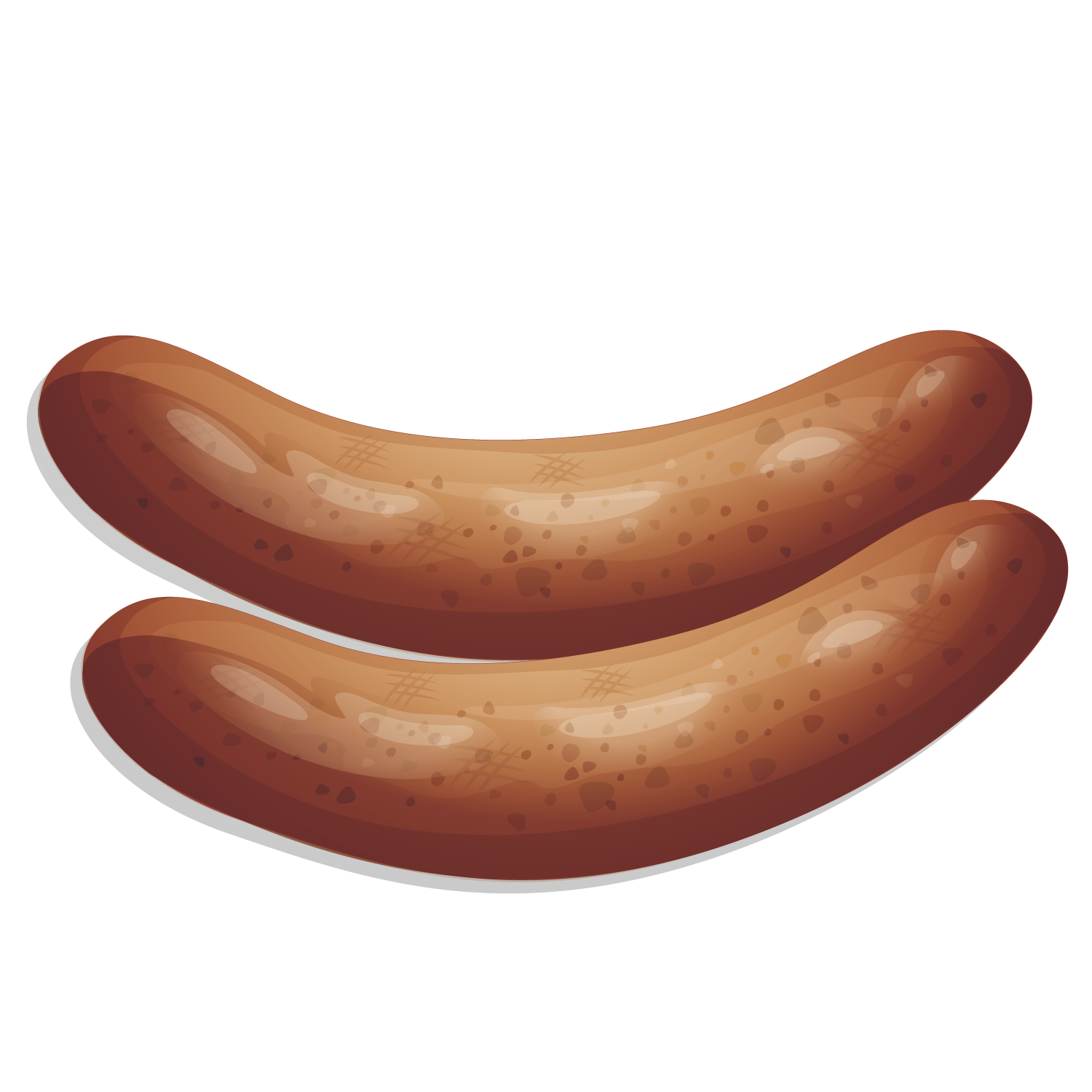 Hot dog Bratwurst Ham Thuringian sausage Knackwurst - Vector ham ...