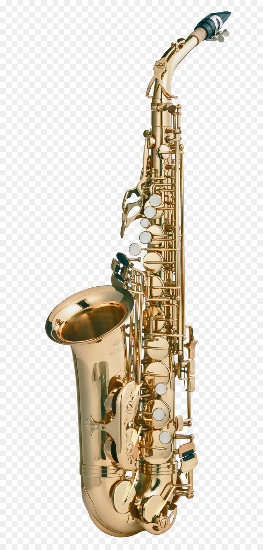 Tenor saxophone Photography - Saxophone png download - 800*1872 - Free Transparent  png Download.