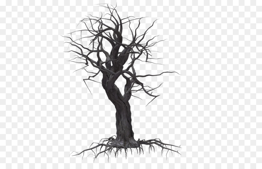 Tree Drawing Plant Clip art - Creepy Tree png download - 1024*639 - Free Transparent Tree png Download.