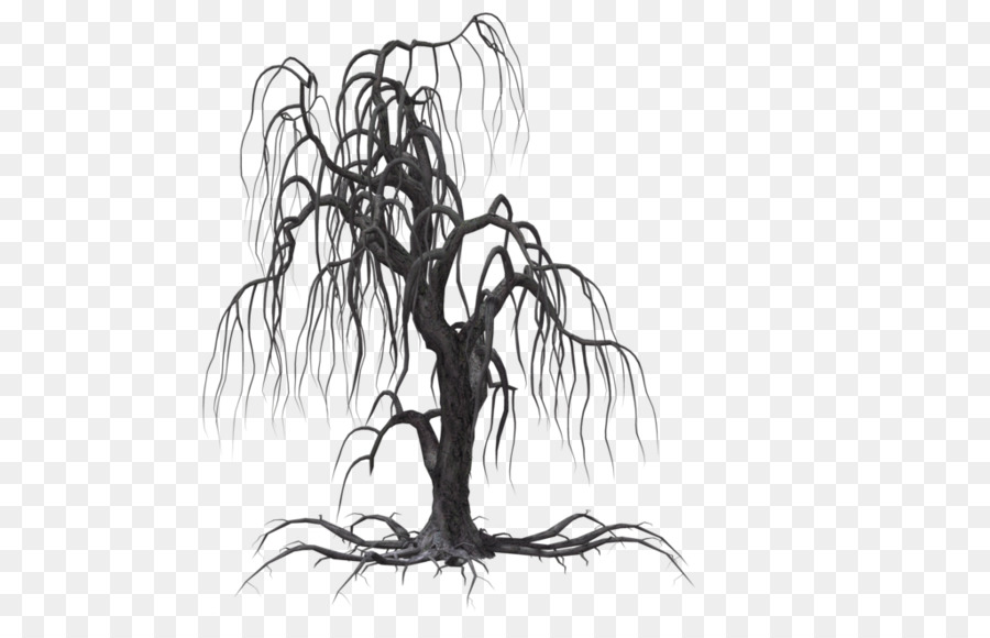Tree Weeping willow Drawing Clip art - Creepy Tree png download - 1024*639 - Free Transparent Tree png Download.