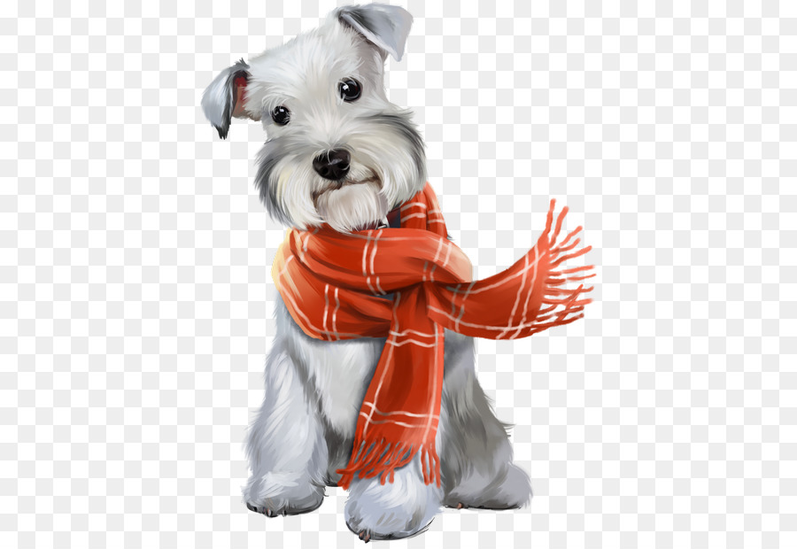 Miniature Schnauzer Puppy Maltese dog Clip art - puppy png download - 452*616 - Free Transparent Miniature Schnauzer png Download.