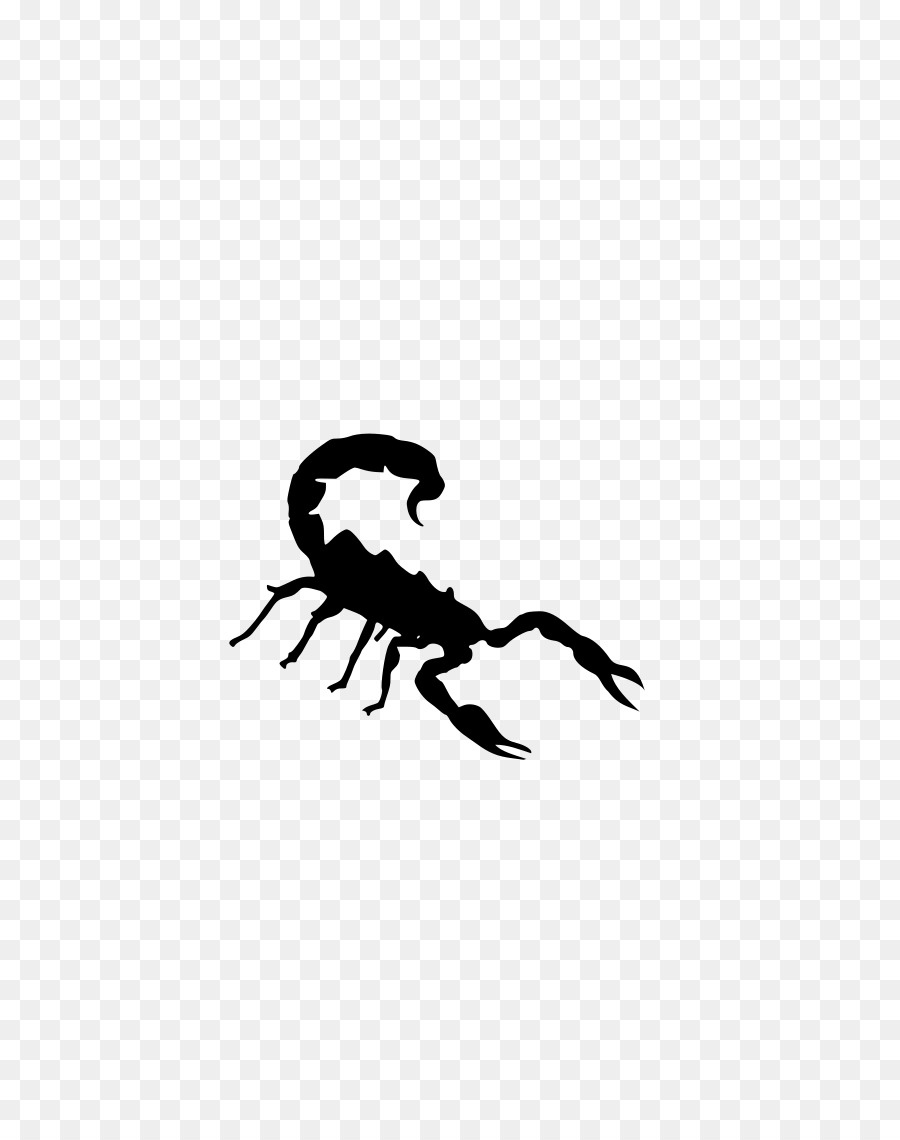 Scorpion Clip art - Silhoutte png download - 800*1131 - Free Transparent Scorpion png Download.