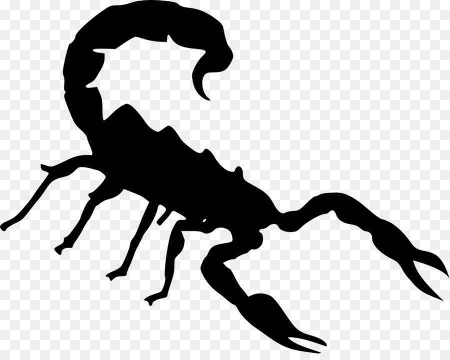 Scorpion Clip art - skorpion png download - 916*720 - Free Transparent Scorpion png Download.