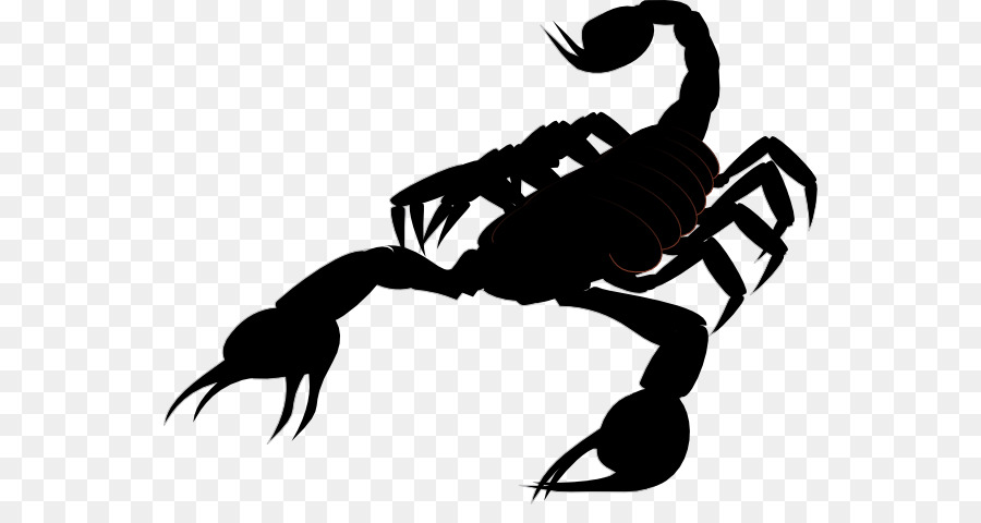 Scorpion Clip art - Scorpion png download - 600*463 - Free Transparent Scorpion png Download.