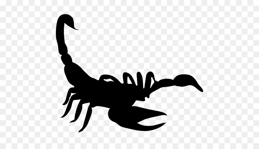 Scorpion Silhouette Drawing - Scorpion png download - 512*512 - Free Transparent Scorpion png Download.