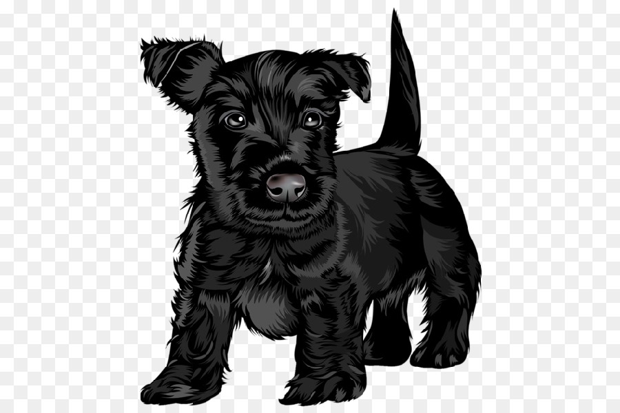 Scottish Terrier Black Russian Terrier Puppy Jack Russell Terrier Cavalier King Charles Spaniel - the dog cartoon animal png download - 600*600 - Free Transparent Scottish Terrier png Download.