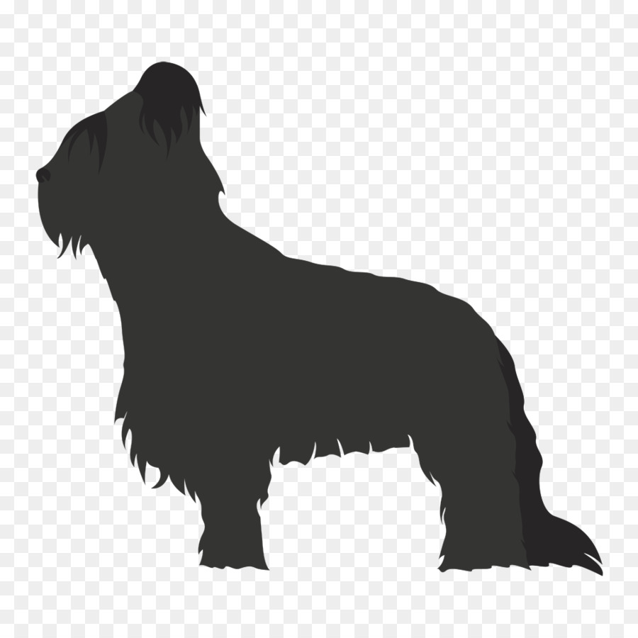 Scottish Terrier Non-sporting group Briard Dog breed Breed group (dog) - Airedale Terrier png download - 1000*1000 - Free Transparent Scottish Terrier png Download.