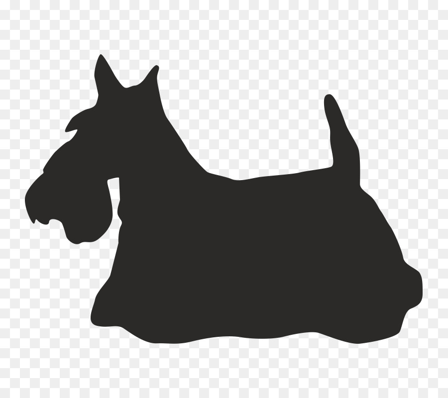 Scottish Terrier Flag of Scotland T-shirt Dog breed - T-shirt png download - 800*800 - Free Transparent Scottish Terrier png Download.