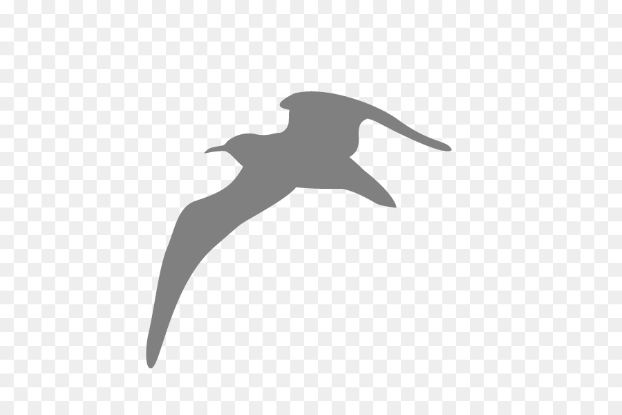 Sea Bird Silhouette