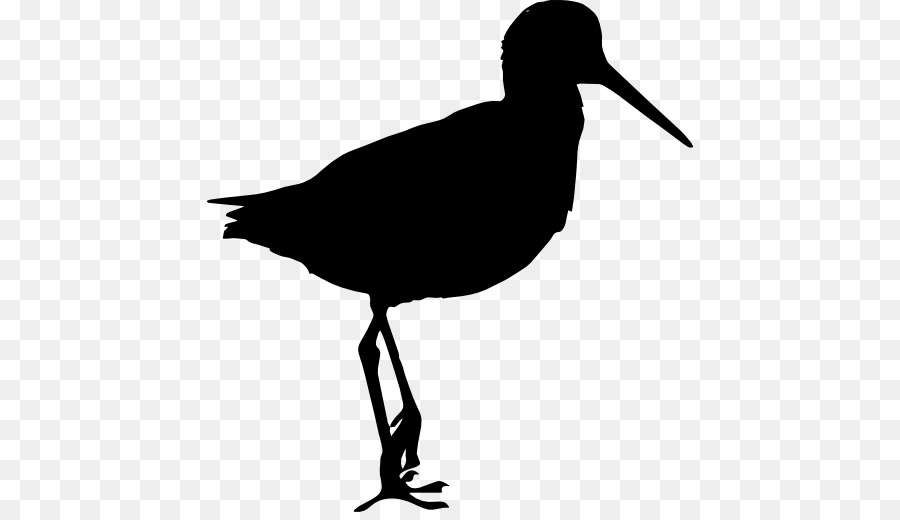 Bird Sandpiper Computer Icons Clip art - animal silhouettes png download - 512*512 - Free Transparent Bird png Download.