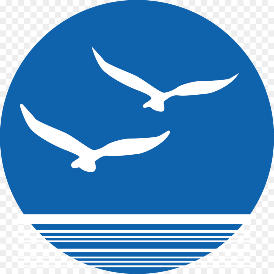 Bird Euclidean vector - Sea Gulls clip png download - 1209*1209 - Free Transparent Computer Icons png Download.