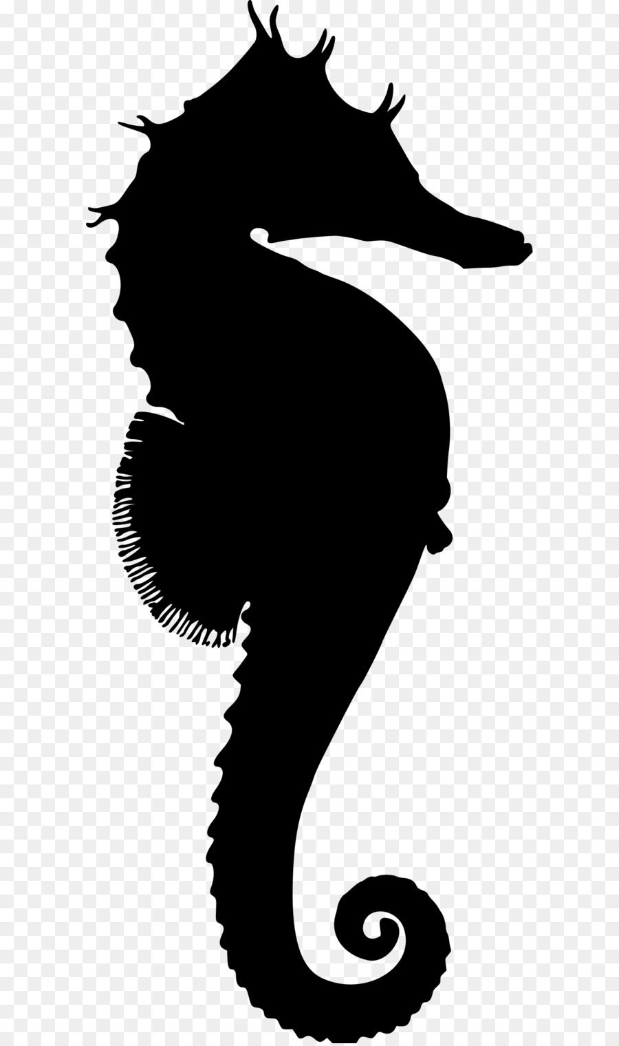 Silhouette Great seahorse New Holland seahorse Clip art - Seahorse PNG png download - 1029*2400 - Free Transparent Silhouette png Download.
