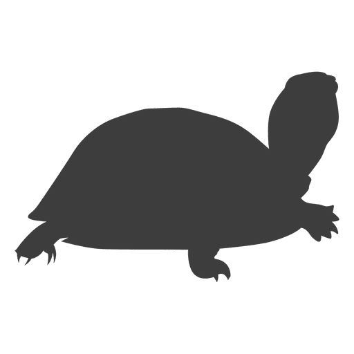 Tortoise Sea turtle Silhouette Reptile - Watercolor turtle png download ...