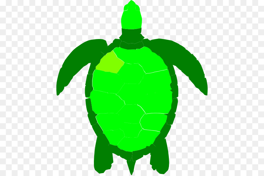 Green sea turtle Reptile Clip art - Hawaiian Green Sea Turtles png download - 516*597 - Free Transparent Turtle png Download.