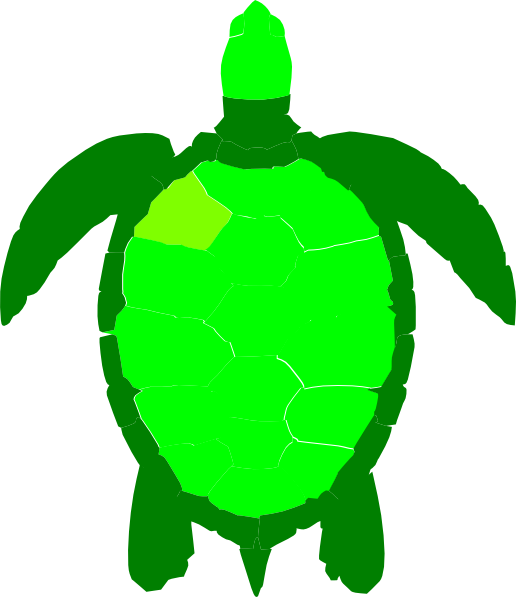 Green sea turtle Reptile Clip art - Hawaiian Green Sea Turtles png ...