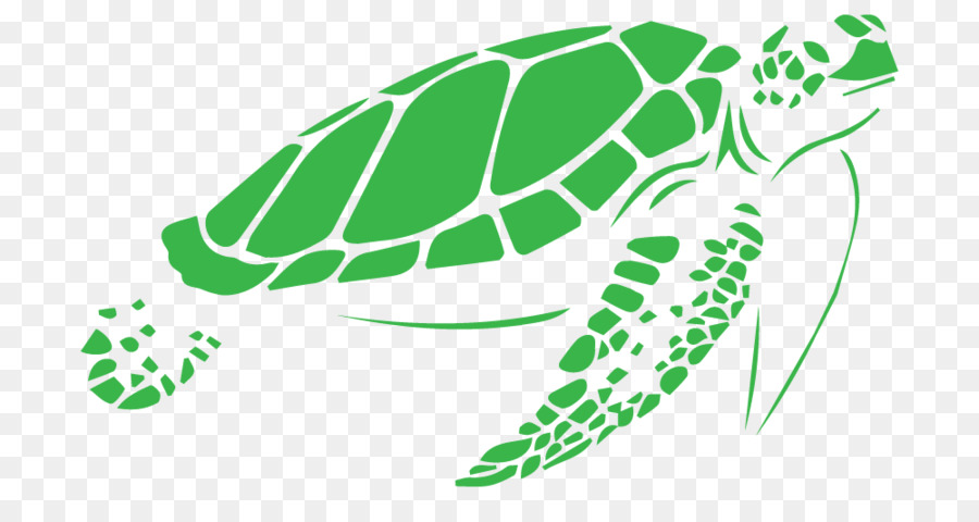 Sea turtle Stencil Vector graphics - iguana cages best png download - 1000*512 - Free Transparent Turtle png Download.