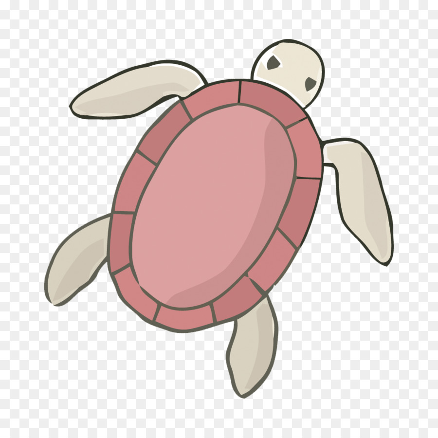 Sea turtle Tortoise - Painted turtle vector material png download - 1000*1000 - Free Transparent Turtle png Download.