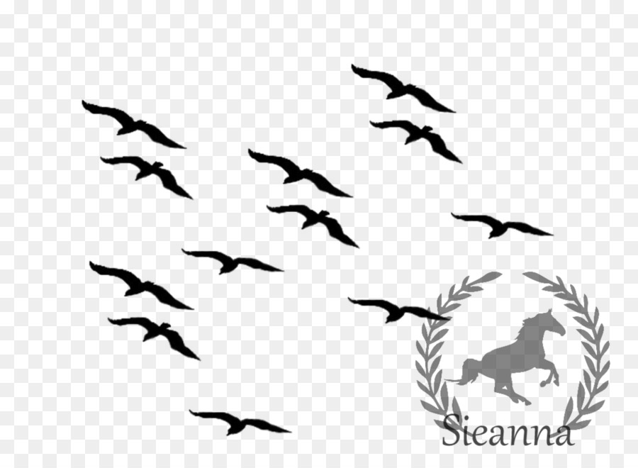 Bird flight Common blackbird Clip art - seagulls flying png download - 1053*758 - Free Transparent Bird png Download.