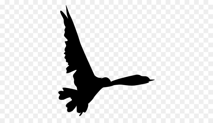 Bird flight Bird flight Clip art - seagulls siloutte png download - 512*512 - Free Transparent Bird png Download.