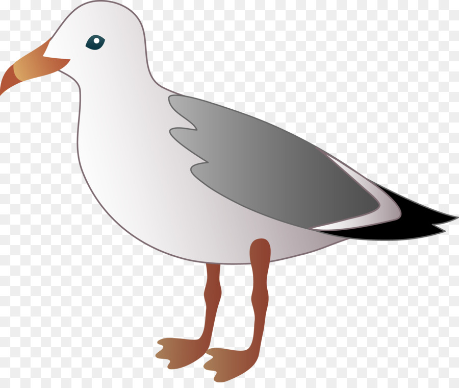 Gulls Bird Clip art - Funny Seagulls Cliparts png download - 7458*6204 - Free Transparent Gulls png Download.