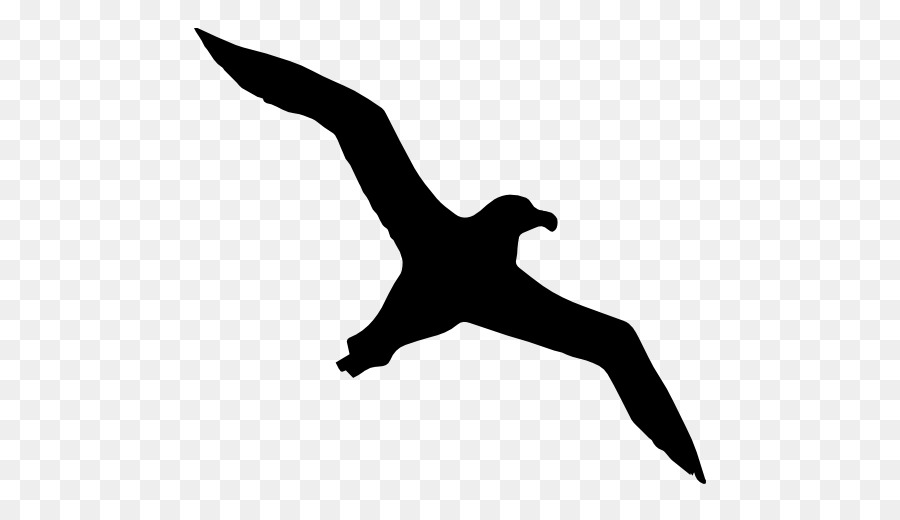 Bird Gulls Mollymawk Silhouette - albatross png download - 512*512 - Free Transparent Bird png Download.
