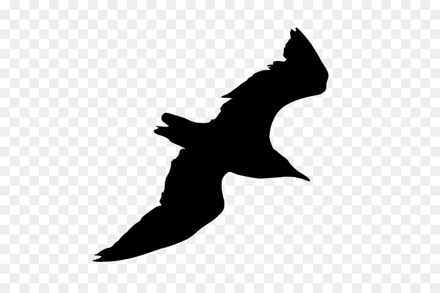 Ivory gulls Scalable Vector Graphics Silhouette - Gull PNG png download - 2000*1842 - Free Transparent Bird png Download.