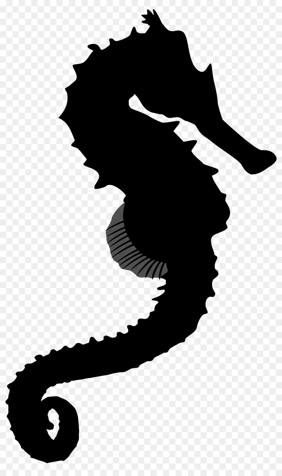 Seahorse Black & White - M Character Clip art Silhouette -  png download - 4775*8000 - Free Transparent  Seahorse png Download.
