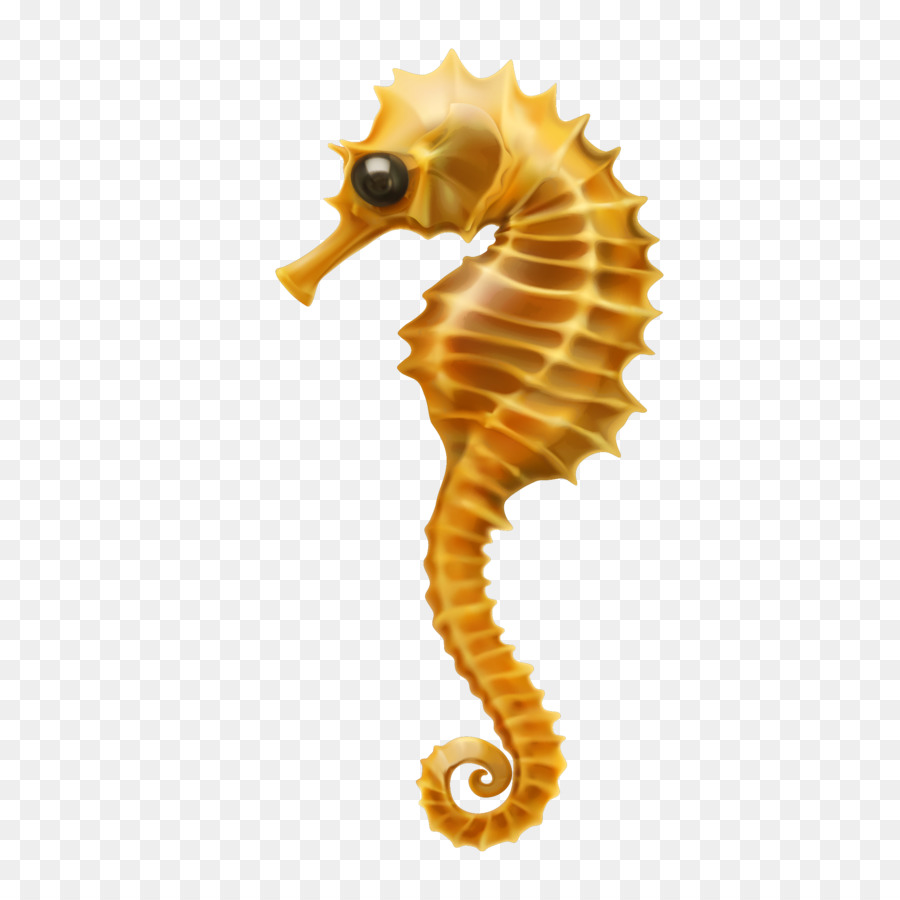 Seahorse Clip art - Vector cartoon hippocampus png download - 2144*2144 - Free Transparent  Seahorse png Download.