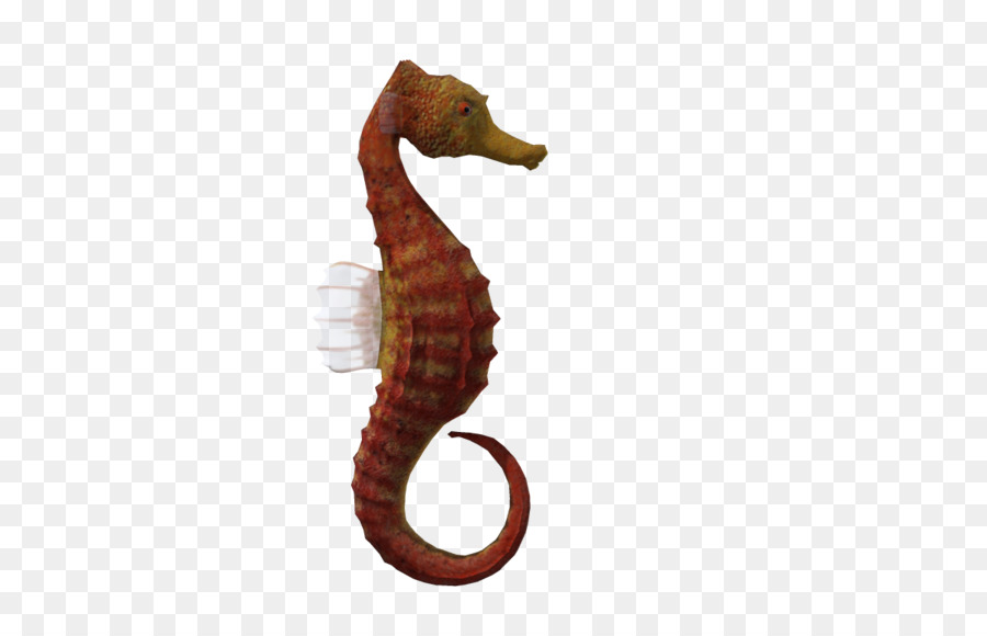 Seahorse Animal 3D computer graphics - Natural 3d cartoon png download - 1200*749 - Free Transparent  Seahorse png Download.