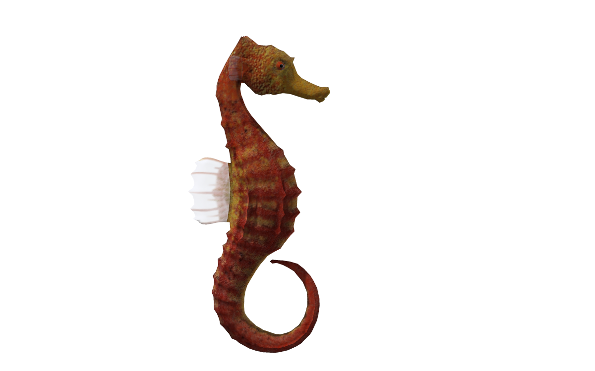 Seahorse Animal 3D computer graphics - Natural 3d cartoon png download ...