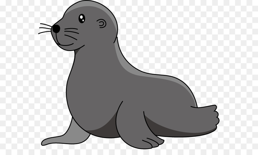 Baby sea lion Elephant seal Clip art - harbor seal png download - 633*521 - Free Transparent Sea Lion png Download.