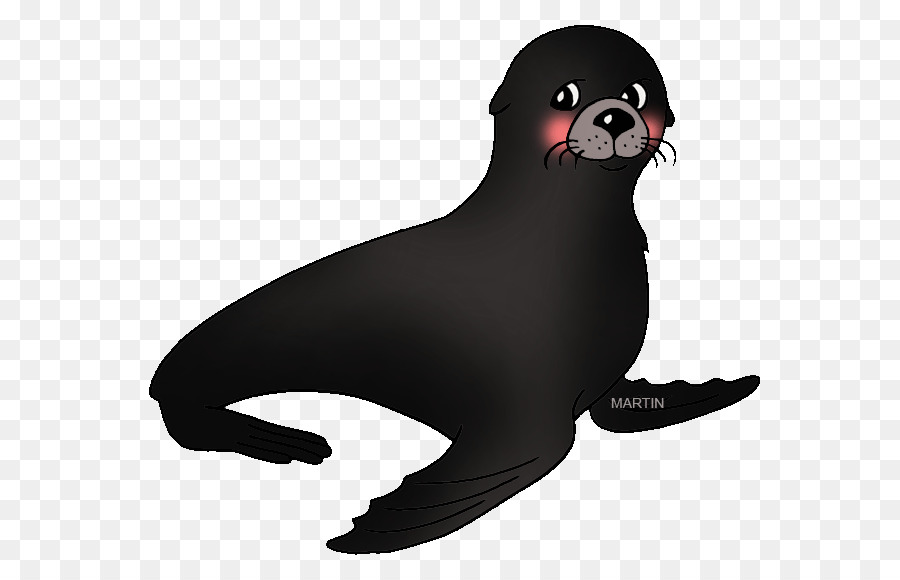 Pinniped Clip art - others png download - 648*572 - Free Transparent Pinniped png Download.