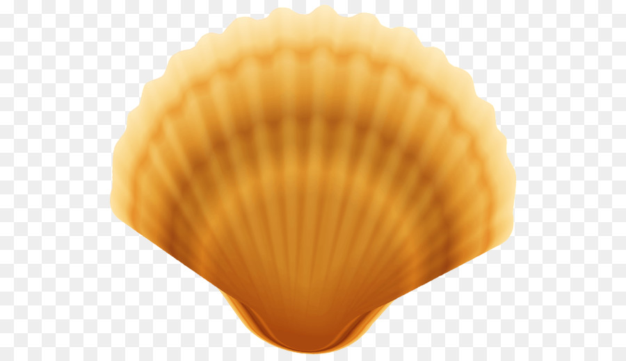 Clam Oyster Seashell Clip art - Shell png download - 600*517 - Free Transparent Clam png Download.