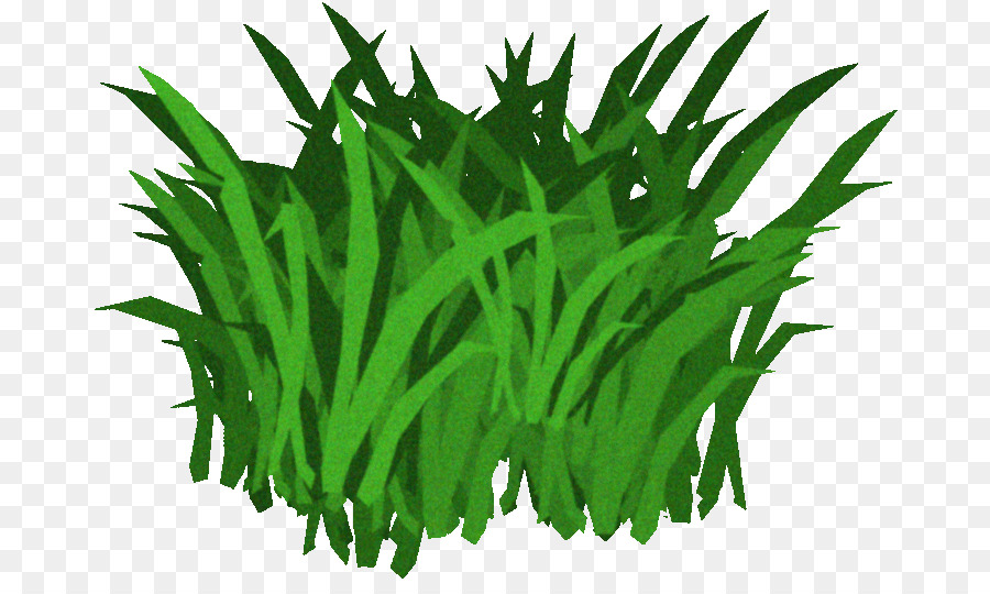 Fucus serratus Seaweed Kelp Clip art - Aquatic plants png download - 735*526 - Free Transparent Fucus Serratus png Download.
