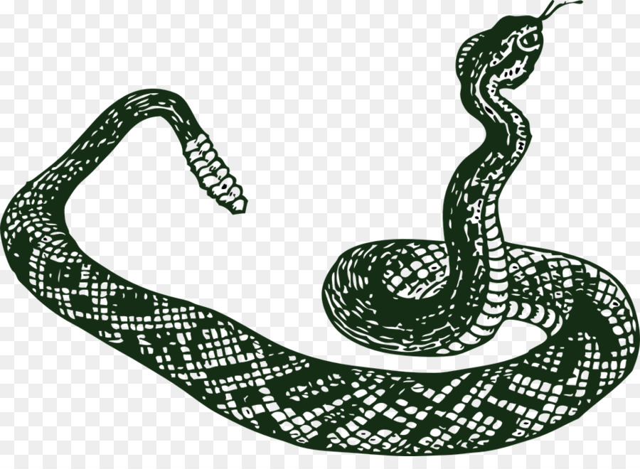 Snakes Clip art Drawing Portable Network Graphics Vector graphics - snake png mamba png download - 960*685 - Free Transparent Snakes png Download.