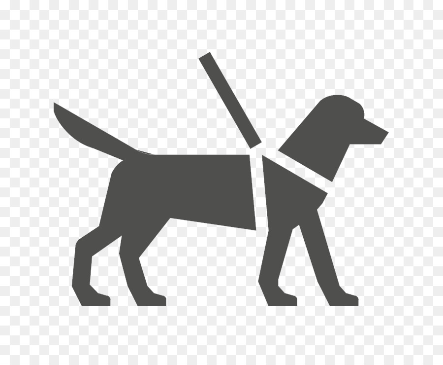Guide dog Service animal Assistance dog Service dog - United States Onedollar Bill png download - 725*725 - Free Transparent Dog png Download.