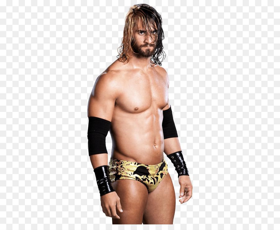 Seth Rollins NXT Championship Florida Championship Wrestling Clip art - Wrestler png download - 355*722 - Free Transparent  png Download.