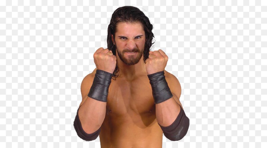 Seth Rollins Ring of Honor Professional wrestling Professional Wrestler The Shield - seth rollins png download - 500*500 - Free Transparent  png Download.