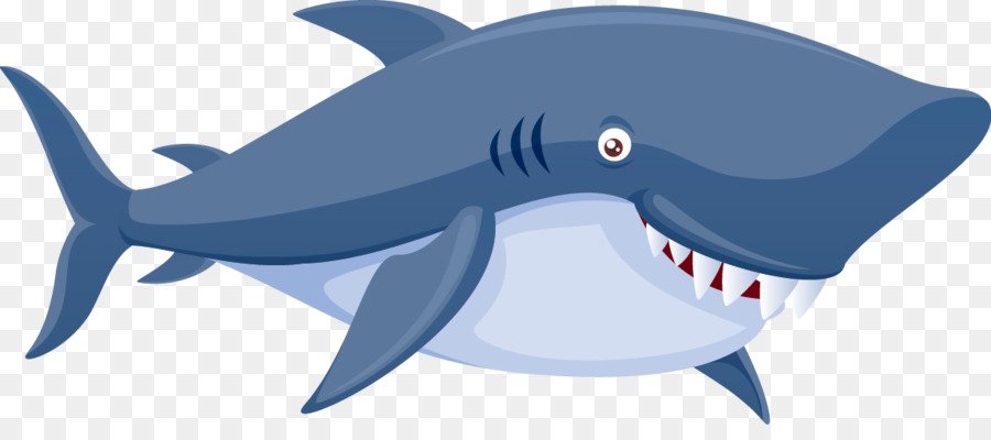 Tiger shark Free content Clip art - Shark Vector png download - 1150*493 - Free Transparent Shark png Download.