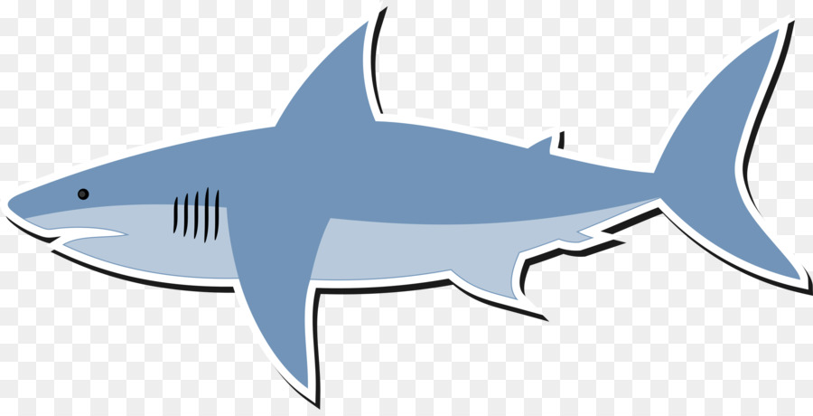 Shark Drawing Cartoon - shark png download - 2400*1208 - Free Transparent Shark png Download.